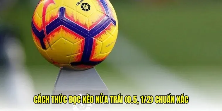 Hướng Dẫn Đặt Cược Chiến Thuật Kèo Chấp 0.5 Hiệu Quả Nhất Cho Người Chơi