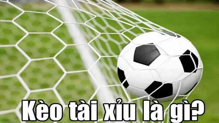 Đỉnh Cao Kèo Tài Xỉu Bóng Đá Nơi Cơ Hội Làm Giàu Bùng Nổ