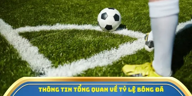 Tỷ Lệ Bóng Đá Hôm Nay - Cập Nhật Tỷ Lệ Kèo Nhà Cái Chuẩn Nhất